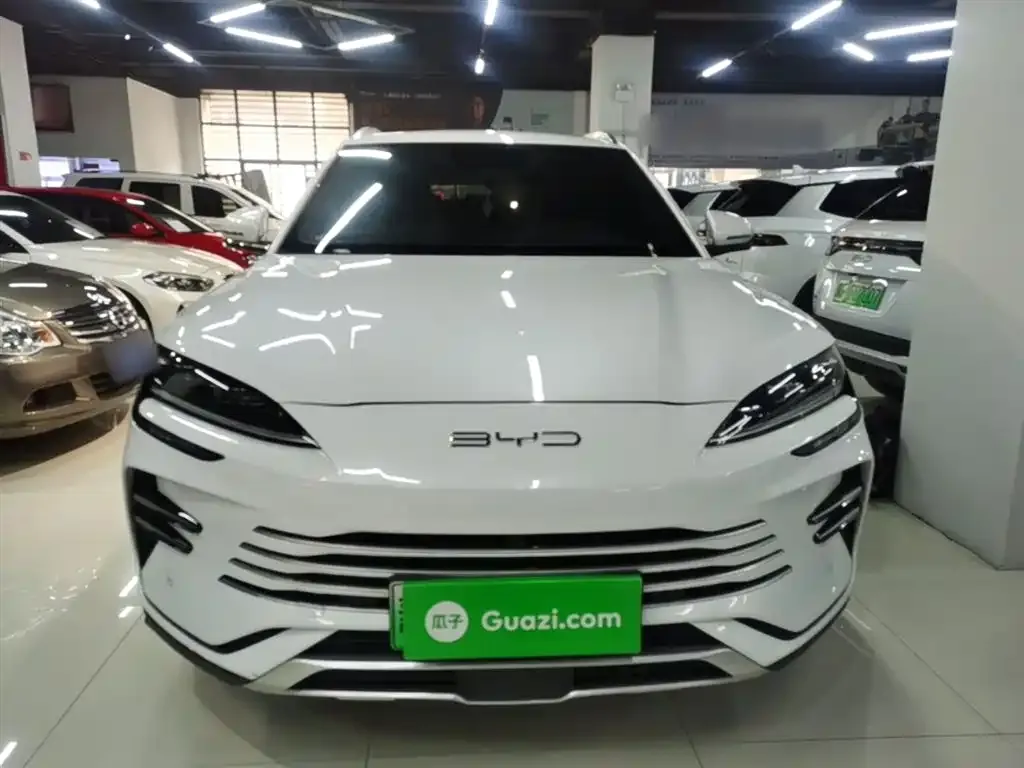 BYD PLUS New Energy 2025 из CN, фото 10