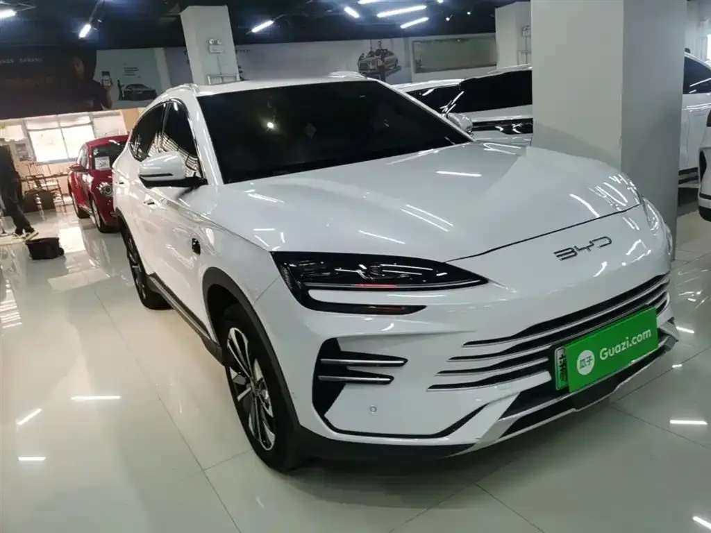BYD PLUS New Energy 2025 из CN, фото 7