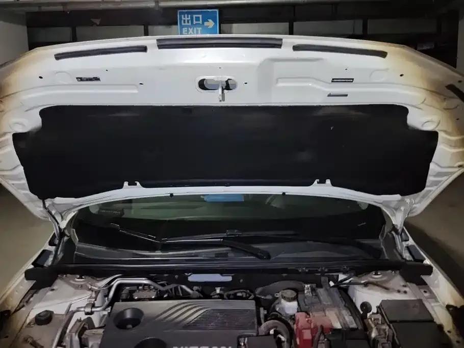 Nissan Sylphy 2021 из CN, фото 5