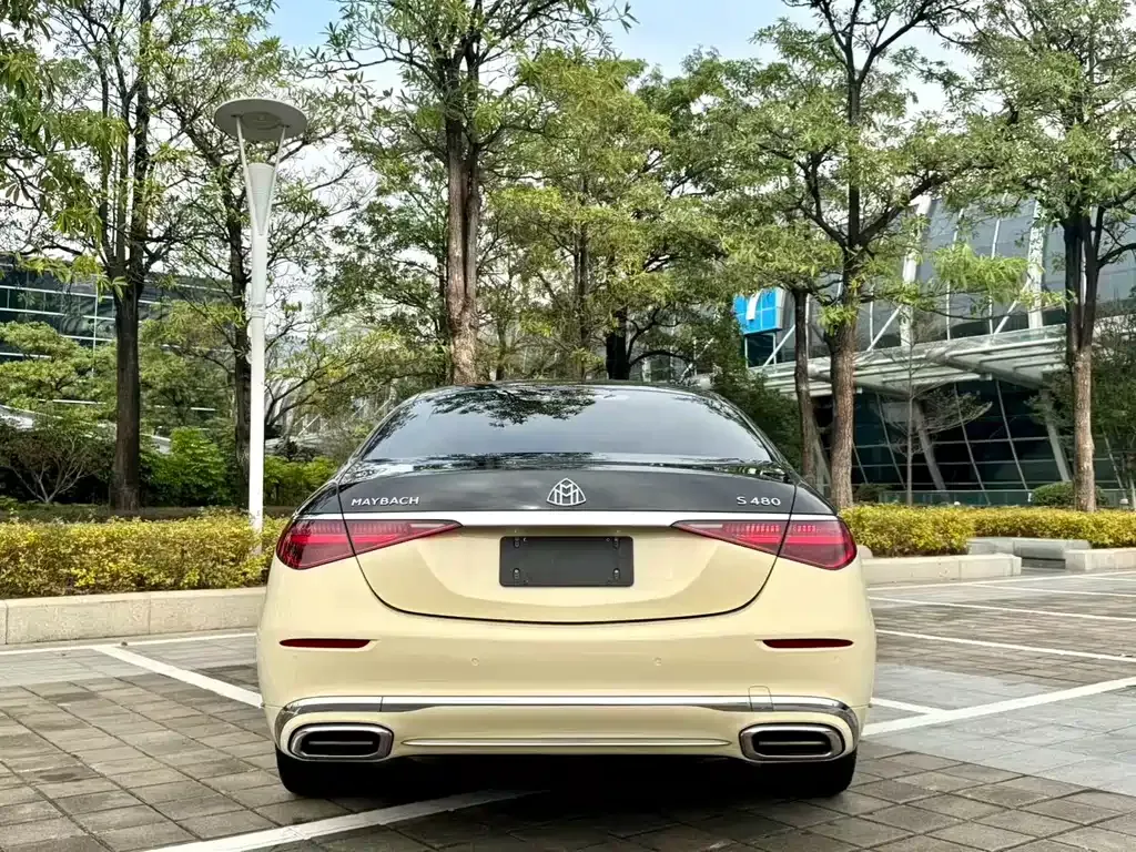 Mercedes-Benz S-Class 2021 из CN, фото 7