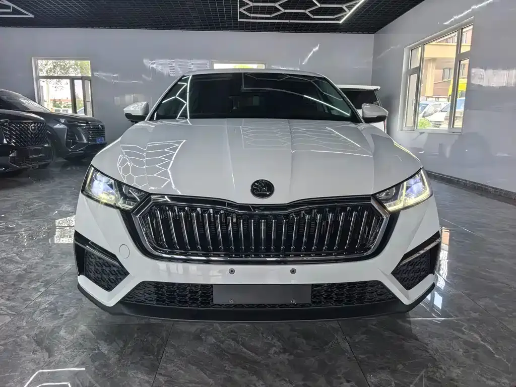 Skoda Octavia — фото 1
