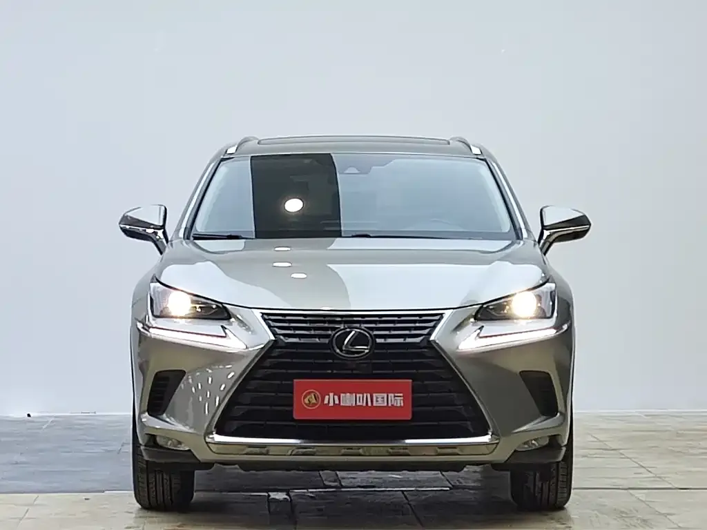 Lexus NX 2021 из CN, фото 8