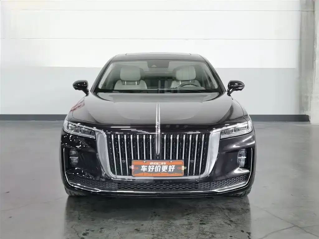 Hongqi H9 2021 из CN, фото 10
