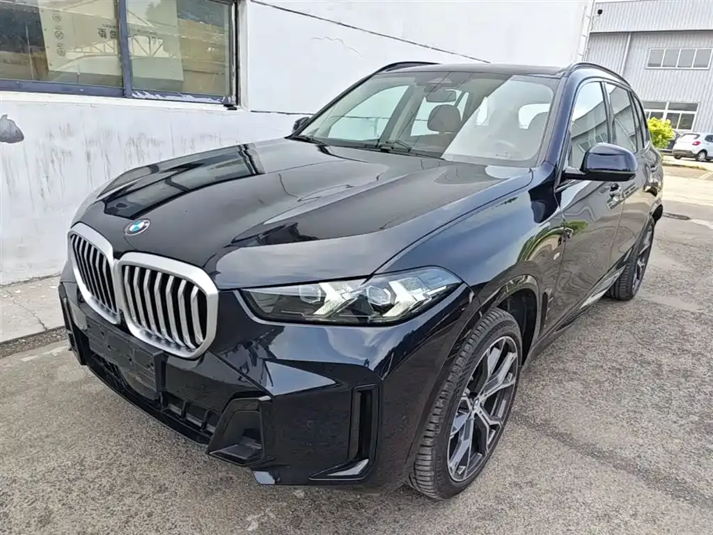 BMW X5 — фото 1