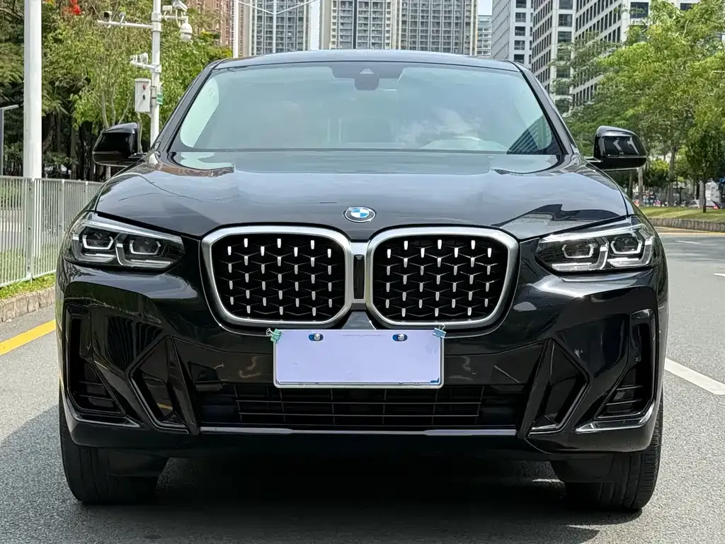 BMW X4 2022 из CN, фото 3