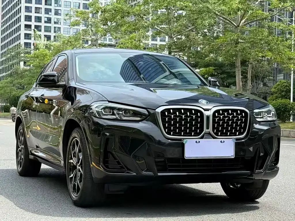BMW X4 2022 из CN, фото 10