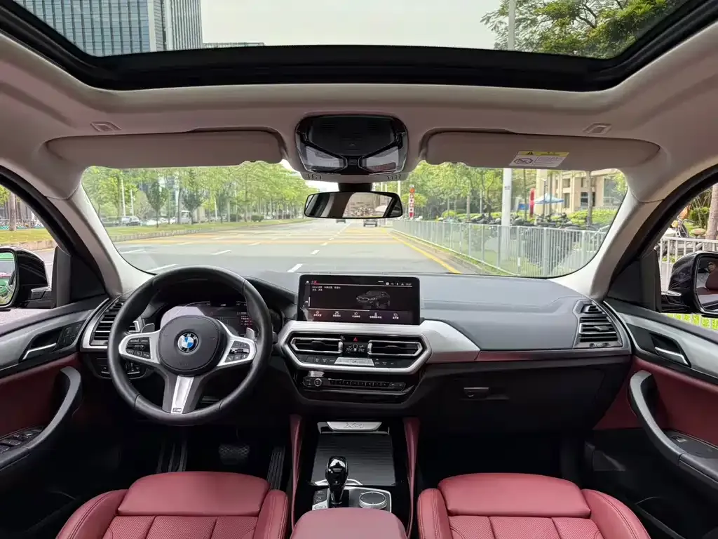 BMW X4 2022 из CN, фото 6