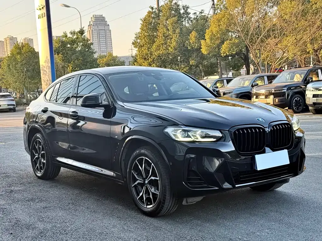 BMW X4 2022 из CN, фото 10