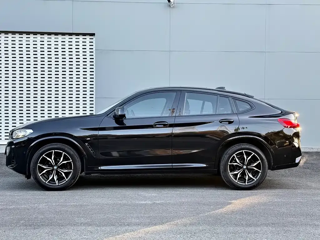 BMW X4 2022 из CN, фото 9