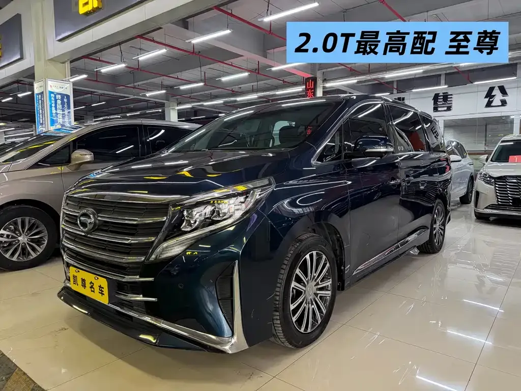 GAC Motor Trumpchi M8 2021 из CN, фото 1