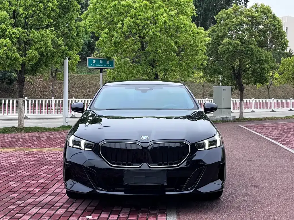 BMW 5 Series 2025 из CN, фото 10