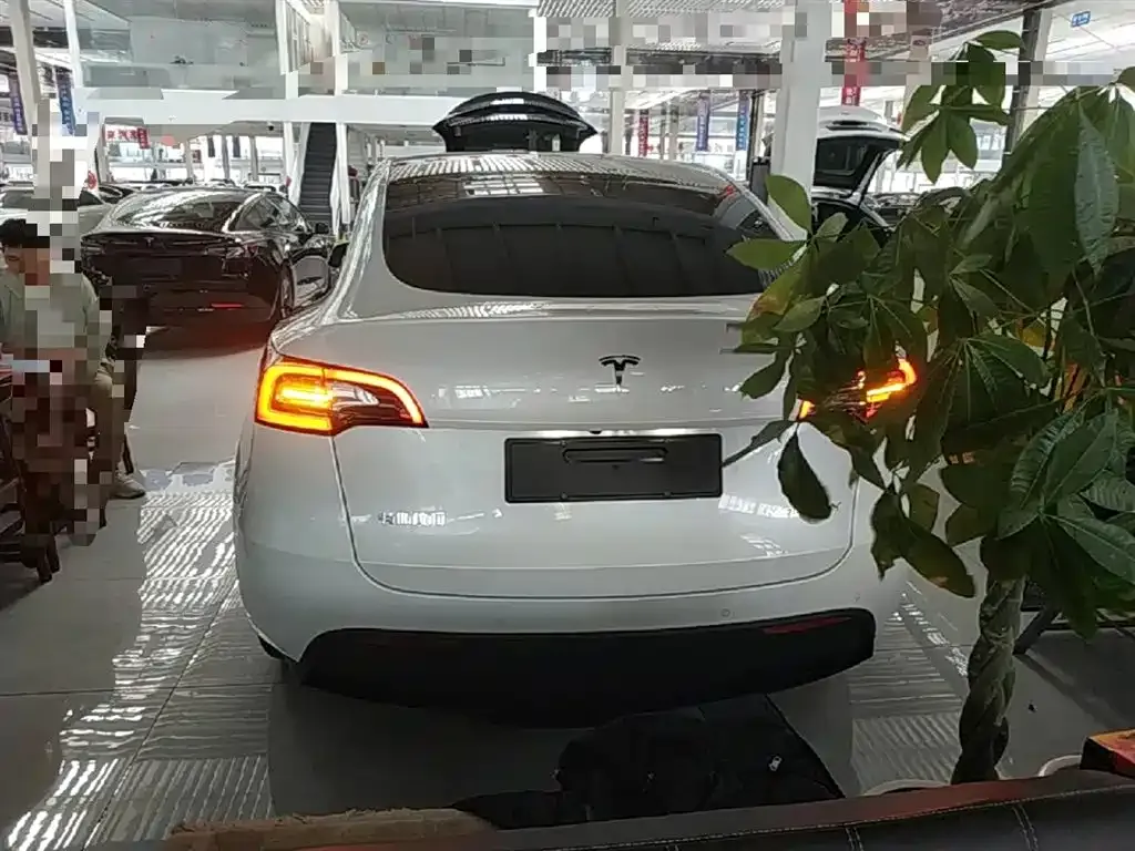 Tesla Model Y — фото 6