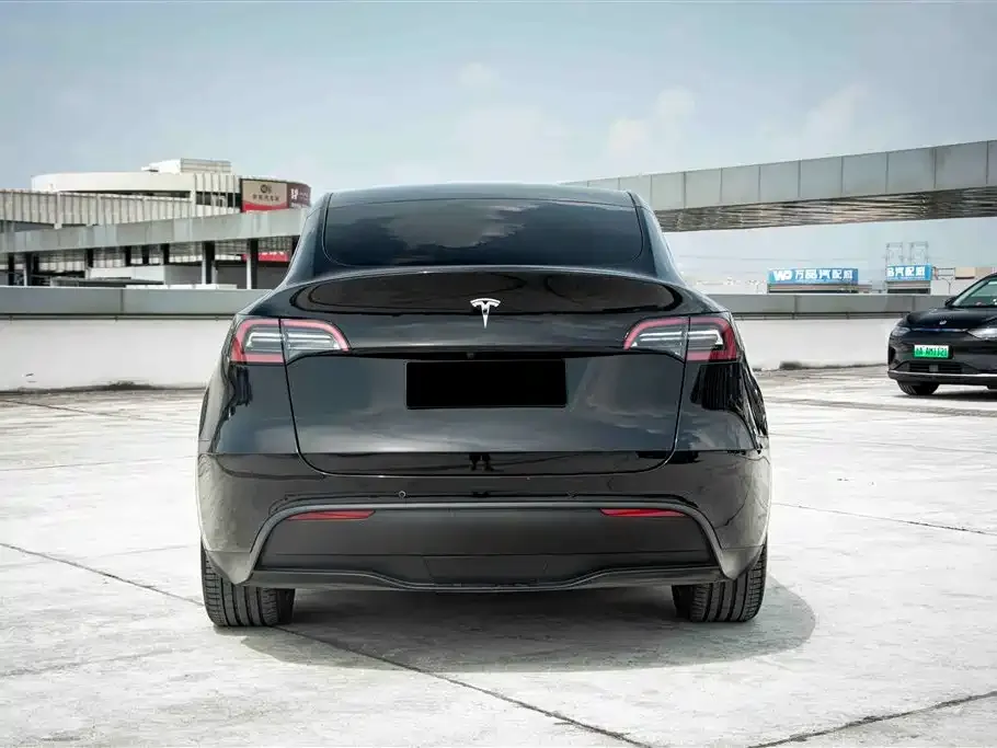 Tesla Model Y 2023 из CN, фото 6