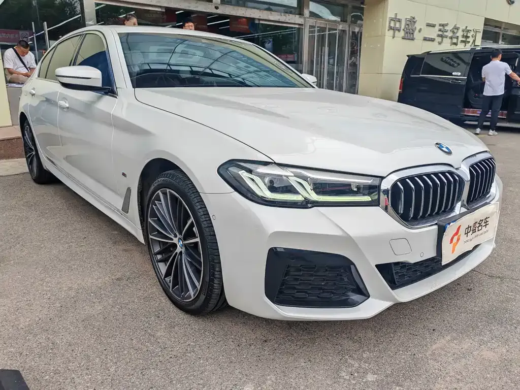 BMW 5 Series 2021 из CN, фото 10
