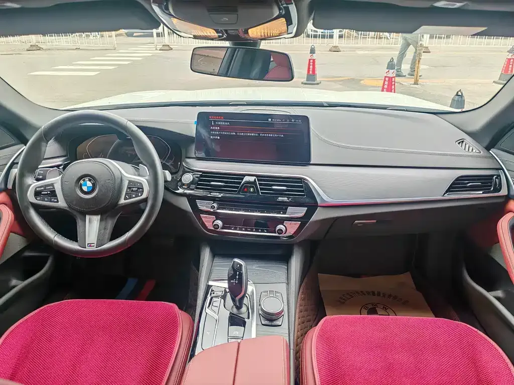 BMW 5 Series 2021 из CN, фото 8