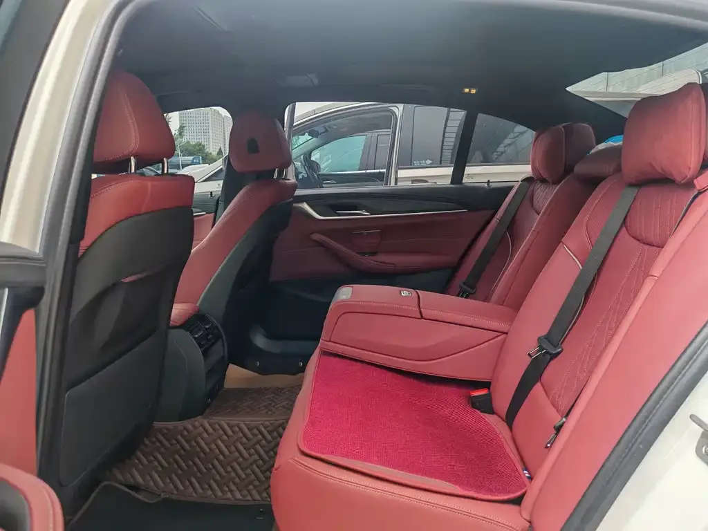 BMW 5 Series 2021 из CN, фото 4