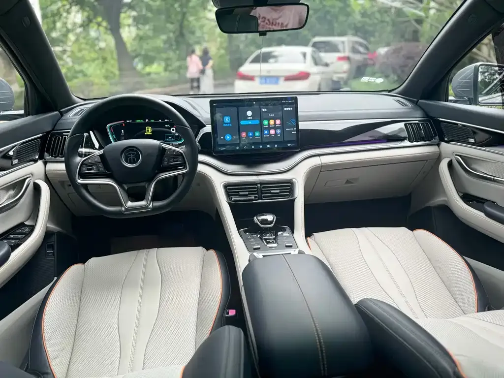 BYD PLUS New Energy 2022 из CN, фото 6
