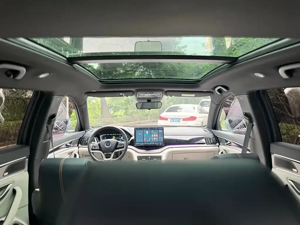 BYD PLUS New Energy 2022 из CN, фото 5