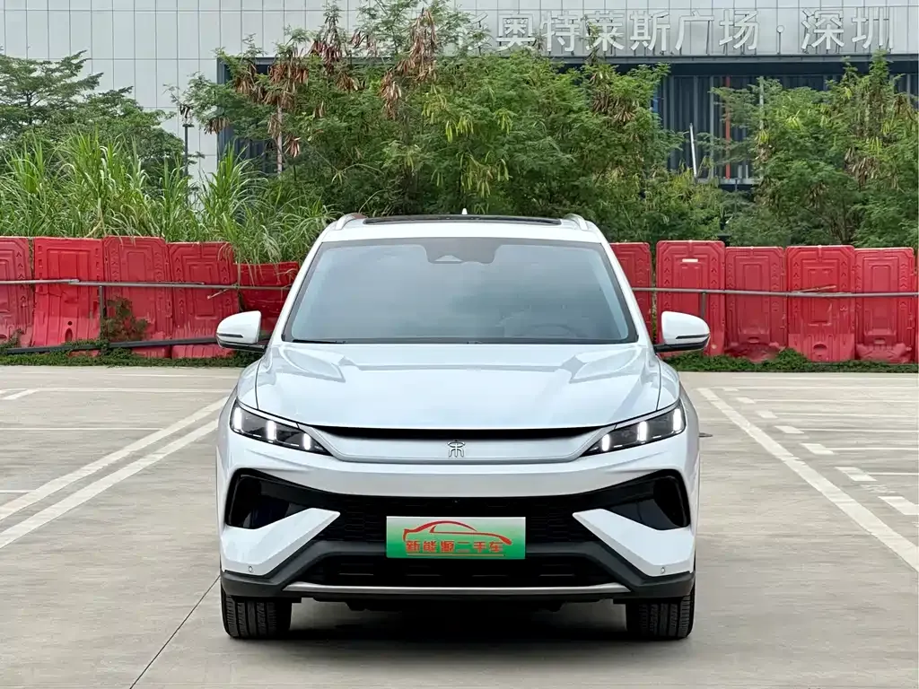 BYD Pro New Energy 2024 из CN, фото 8