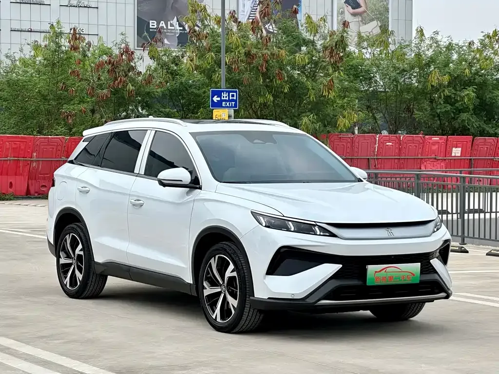 BYD Pro New Energy 2024 из CN, фото 4