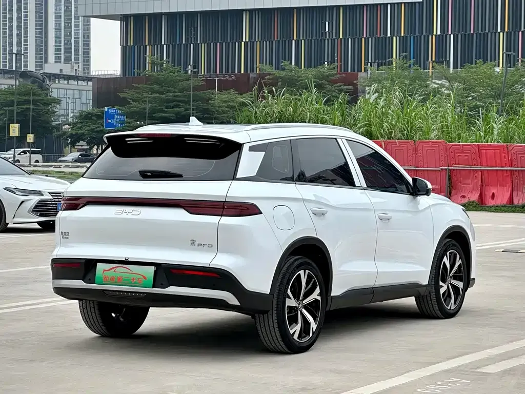 BYD Pro New Energy 2024 из CN, фото 7
