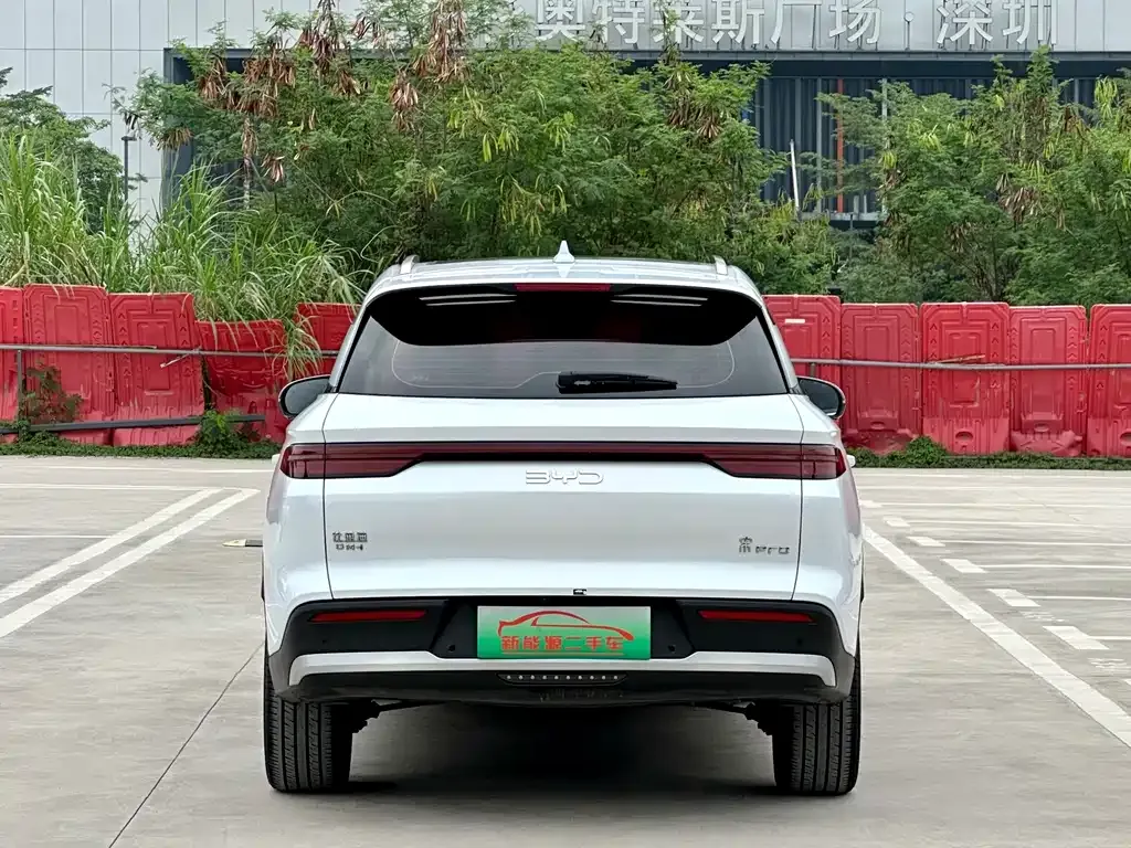 BYD Pro New Energy 2024 из CN, фото 6