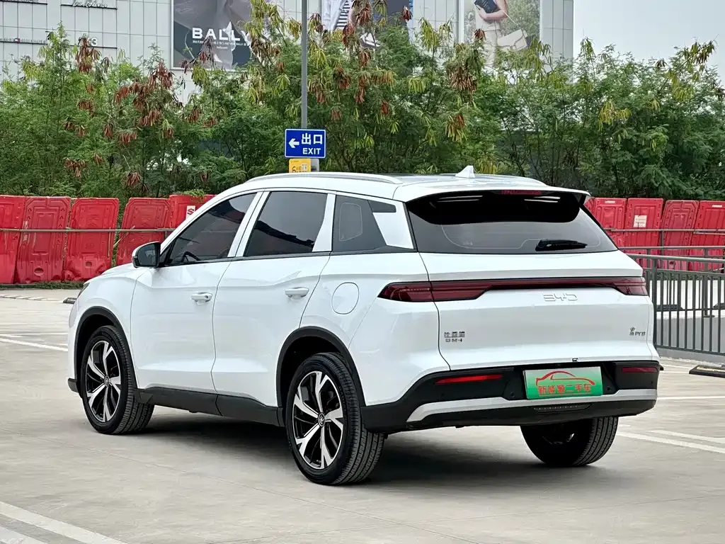 BYD Pro New Energy 2024 из CN, фото 9