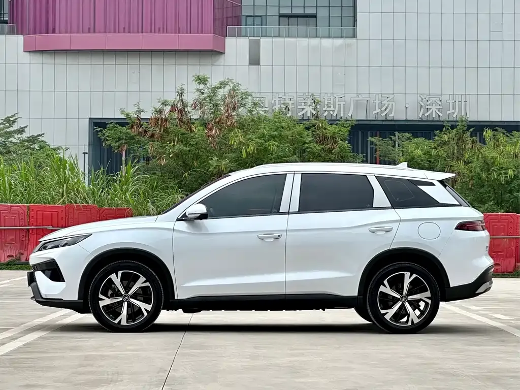 BYD Pro New Energy 2024 из CN, фото 10