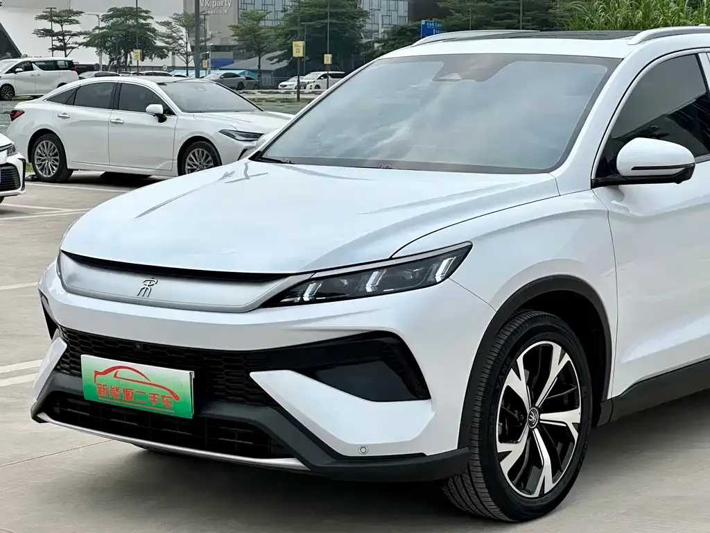 BYD Pro New Energy 2024 из CN, фото 3