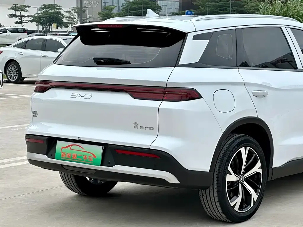 BYD Pro New Energy 2024 из CN, фото 2