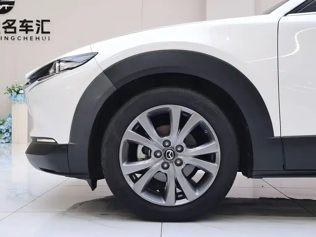 Mazda CX-30 2021 из CN, фото 4