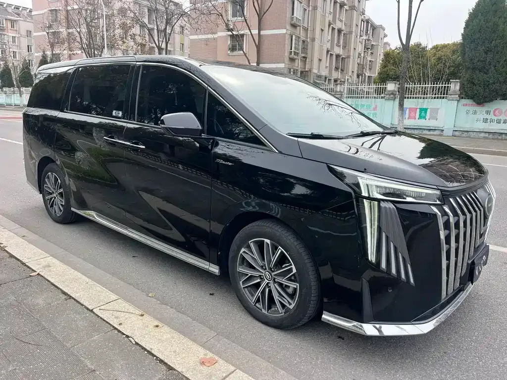 GAC Motor Trumpchi M8 2024 из CN, фото 5