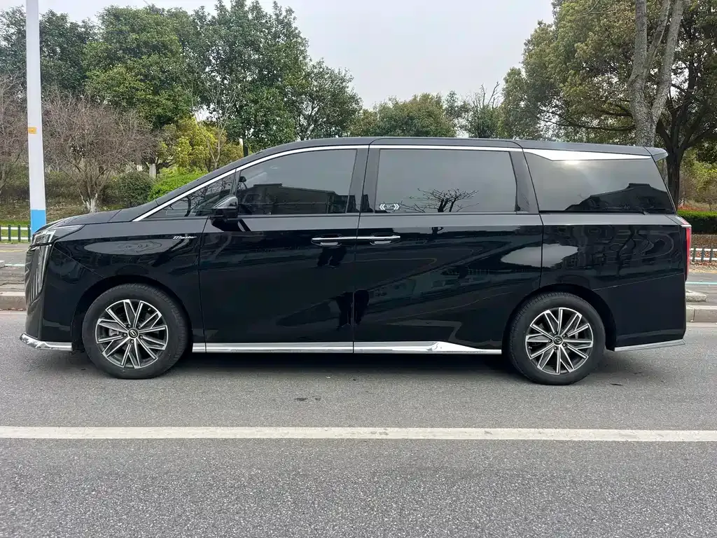 GAC Motor Trumpchi M8 2024 из CN, фото 9
