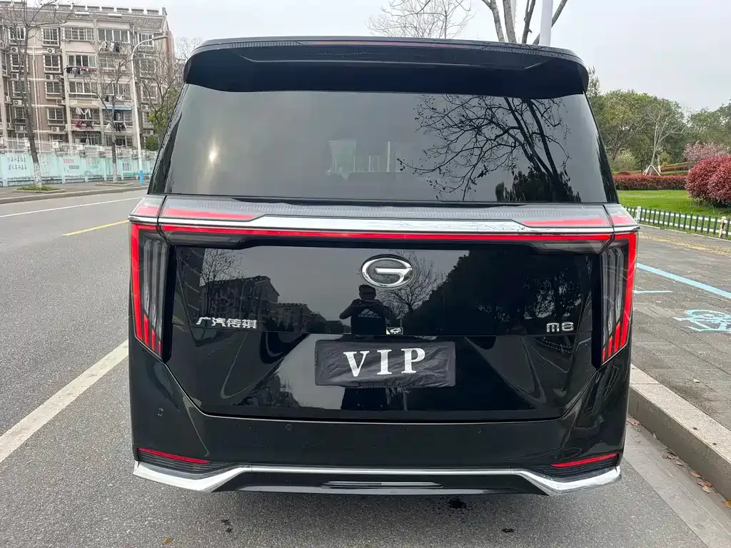 GAC Motor Trumpchi M8 2024 из CN, фото 6