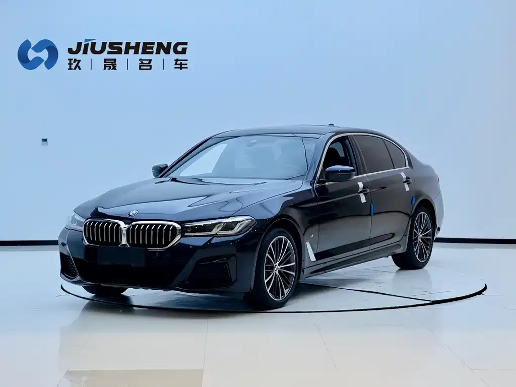 BMW 5 Series 2021 из CN, фото 1