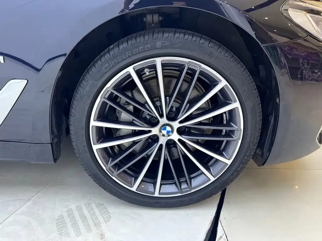 BMW 5 Series 2021 из CN, фото 5