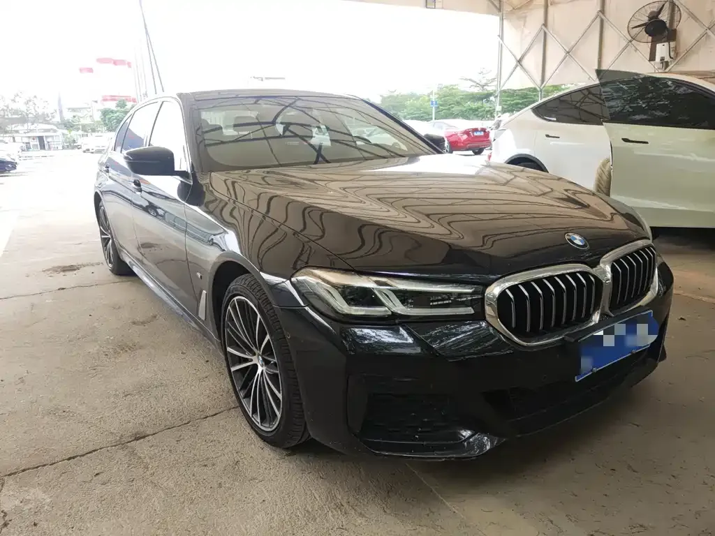 BMW 5 Series 2021 из CN, фото 8