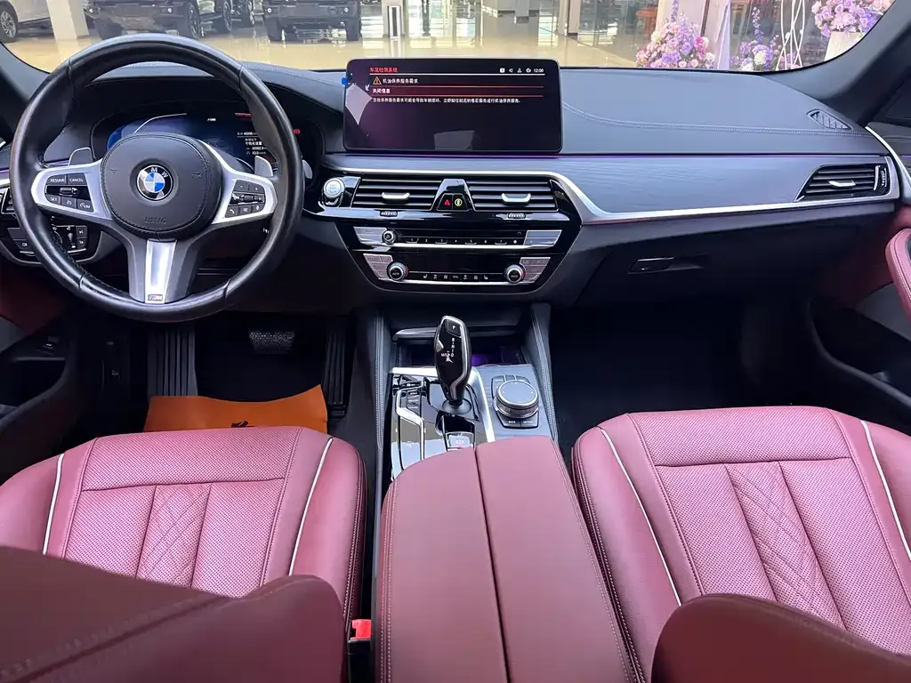 BMW 5 Series 2021 из CN, фото 6