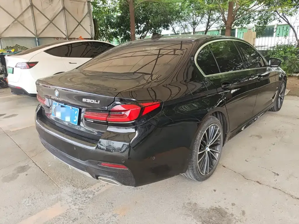 BMW 5 Series 2021 из CN, фото 9