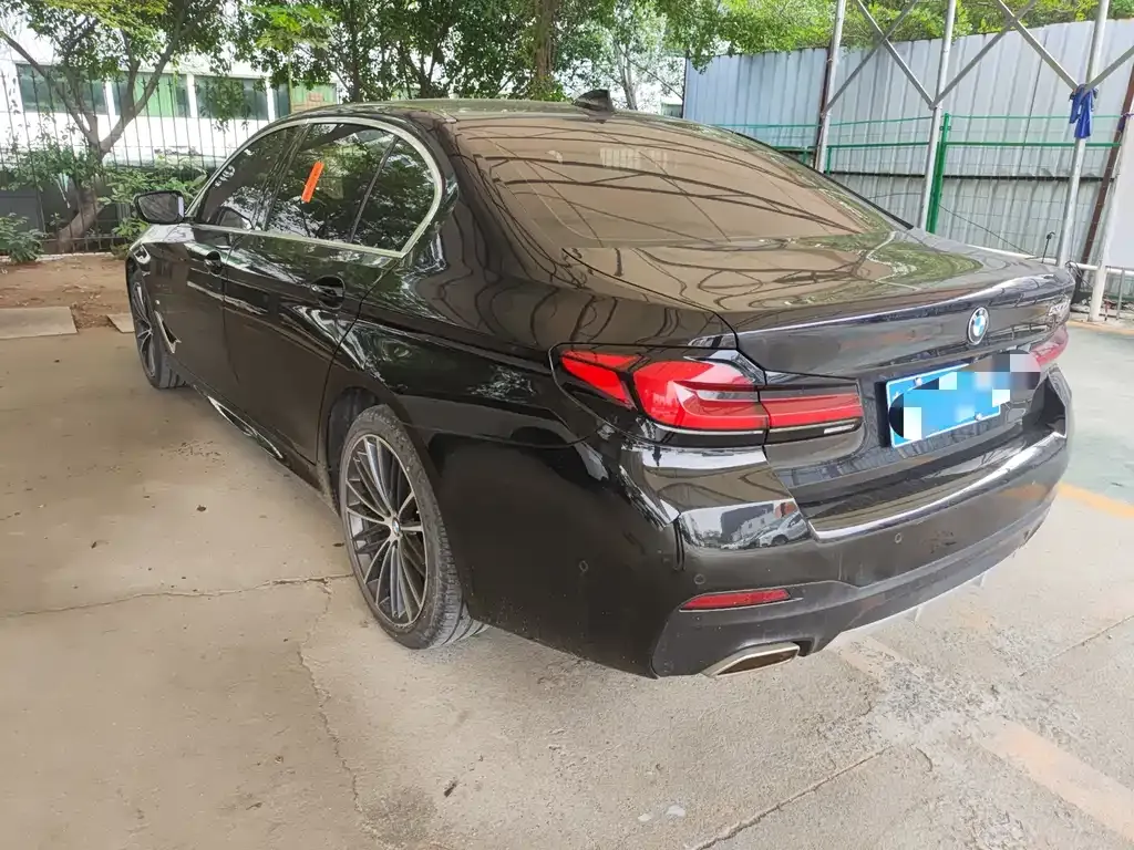 BMW 5 Series 2021 из CN, фото 10