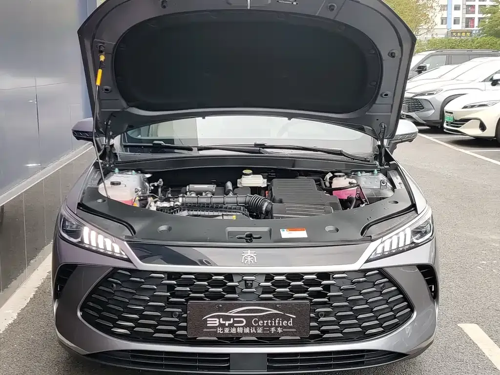 BYD Qin PLUS 2025 из CN, фото 5