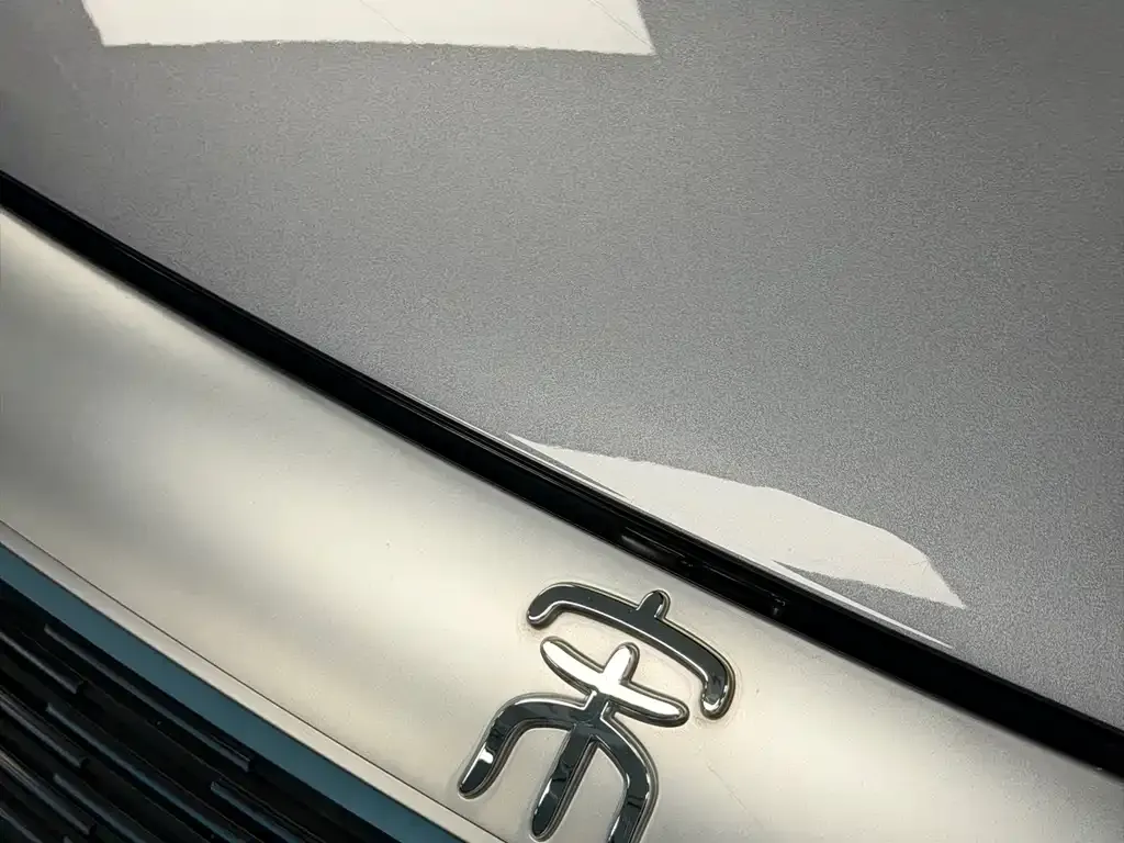 BYD PLUS New Energy 2022 из CN, фото 7