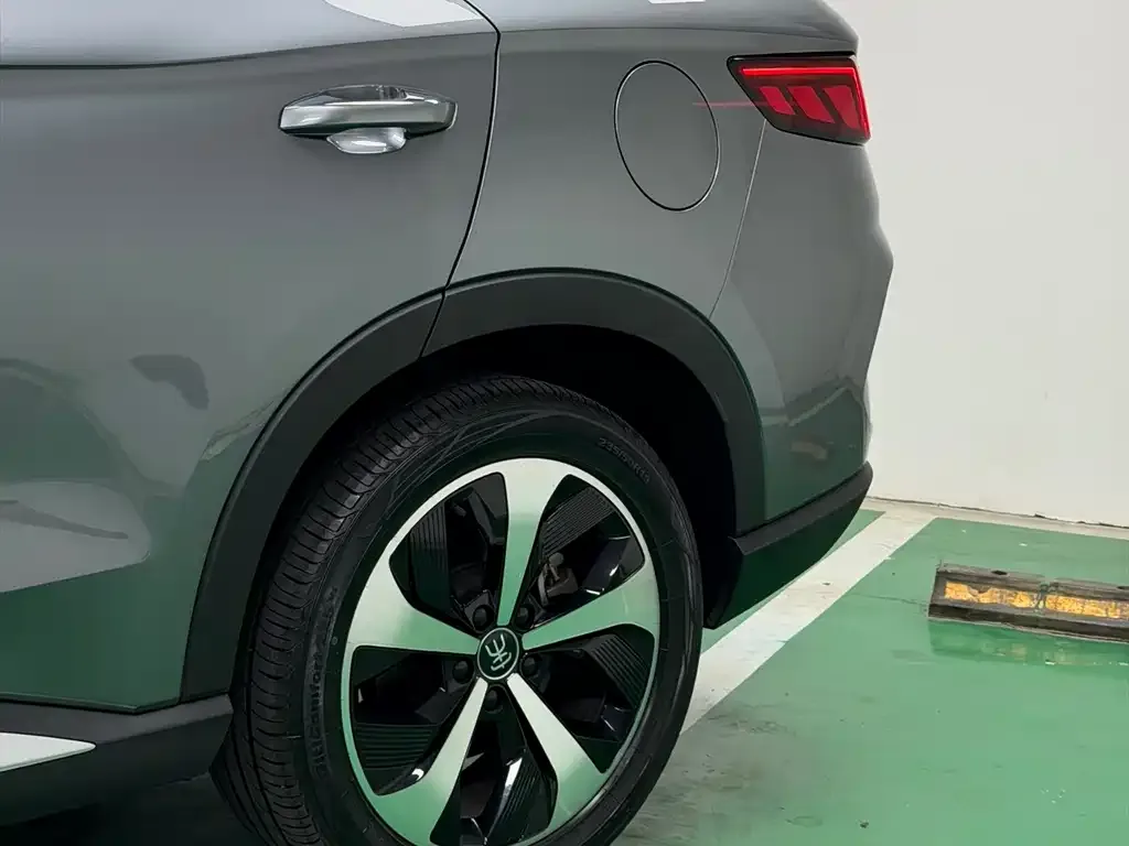 BYD PLUS New Energy 2022 из CN, фото 4