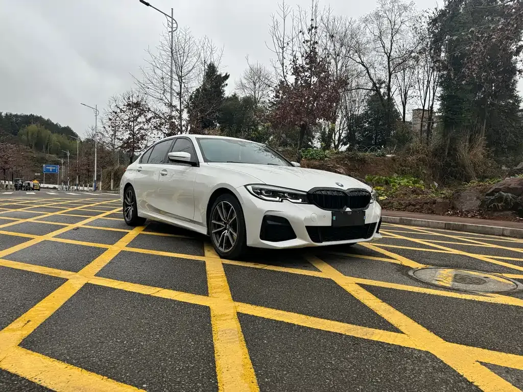 BMW 3 Series 2021 из CN, фото 5