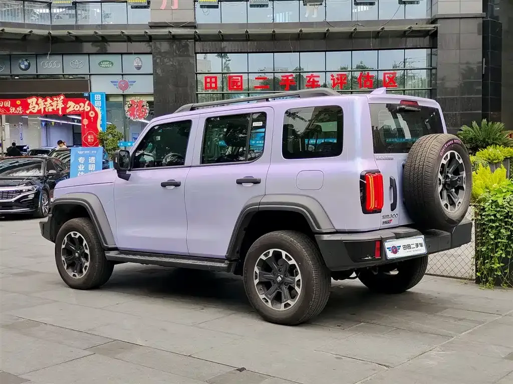 Tank 300 New Energy 2025 из CN, фото 6