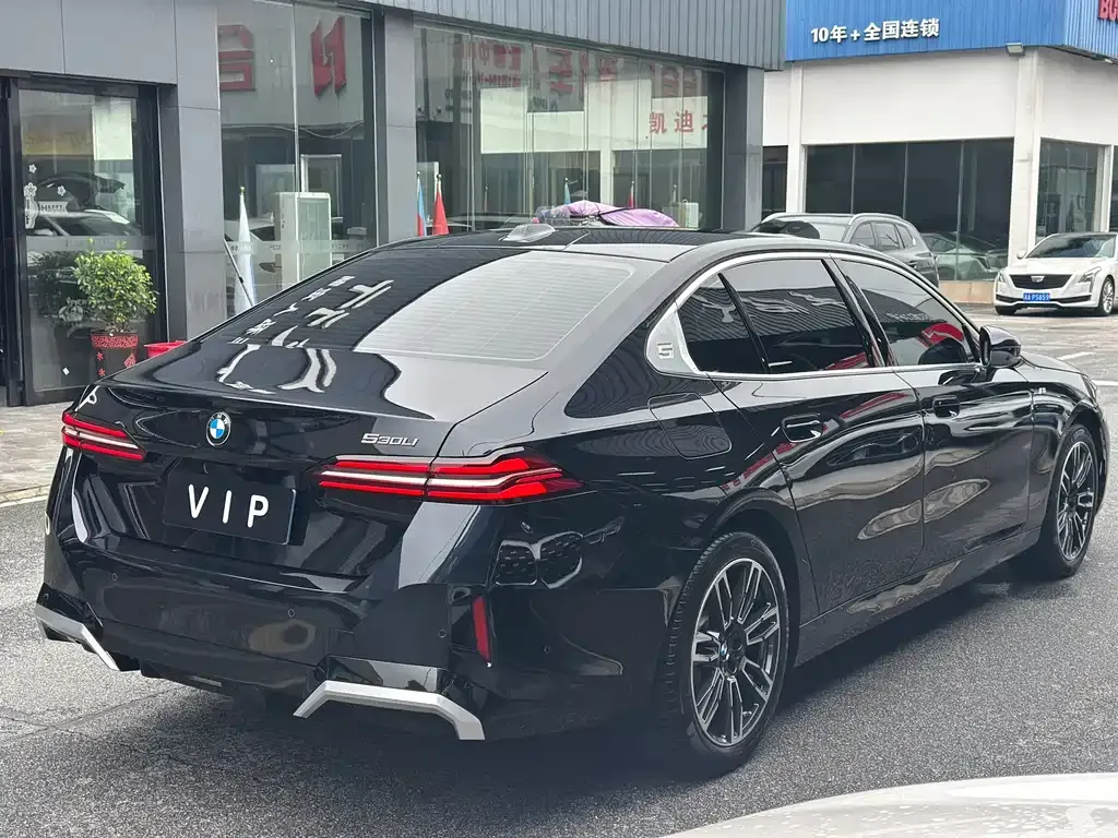 BMW 5 Series 2024 из CN, фото 10