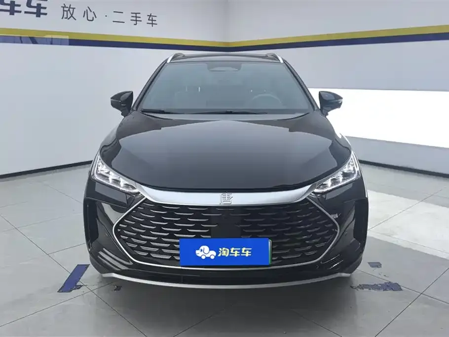 BYD Tang New Energy — фото 2
