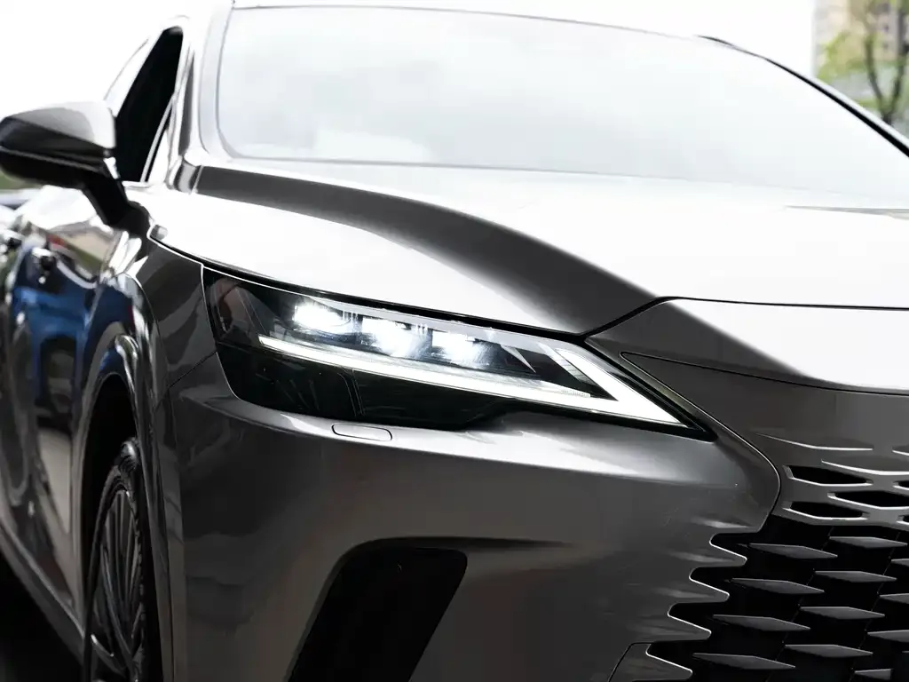 Lexus RX — фото 10