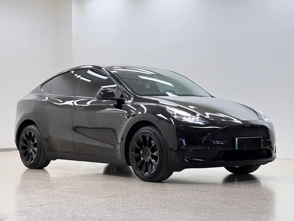 Tesla Model Y 2023 из CN, фото 8