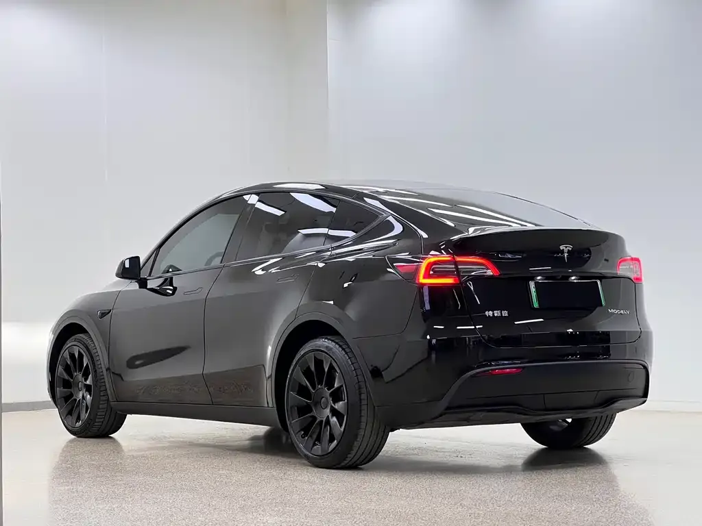Tesla Model Y 2023 из CN, фото 9